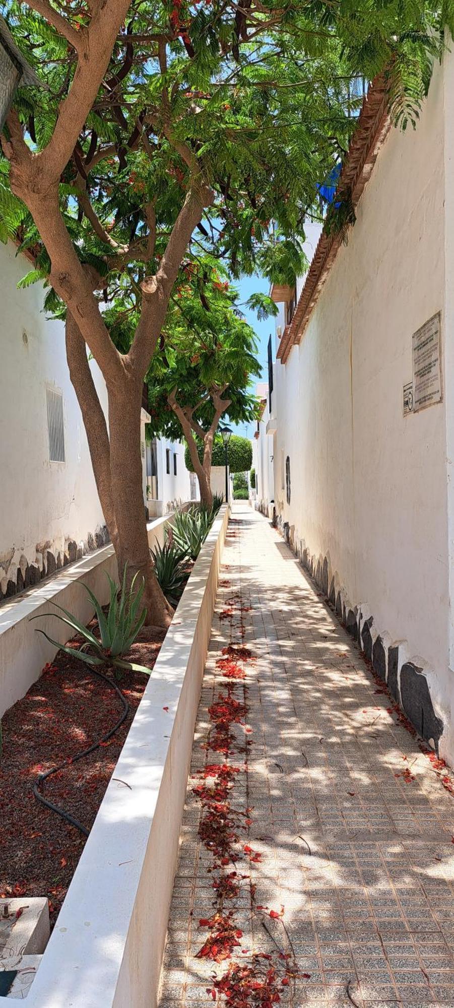 Kassisaba Apartman Costa Del Silencio Kültér fotó